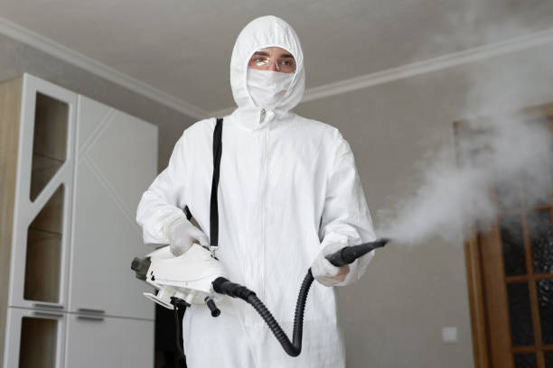 Reliable China Lake Acres, CA Mold Removal Services Solutions